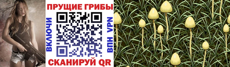 МЕГА ONION  Уяр  Галлюциногенные грибы мухоморы 